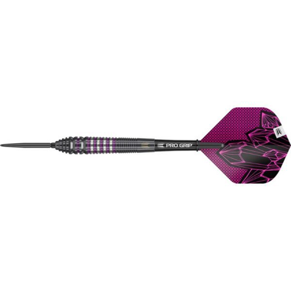 Target dartpijlen Lorraine Winstanley G2 Swiss Point 90%